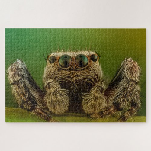 Jumping spider photo jigsaw puzzle