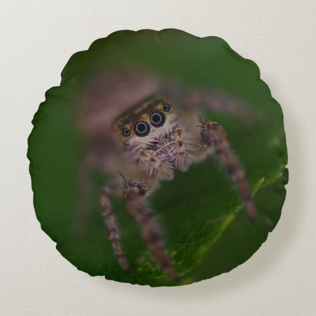 Jumping Spider Pillow (Front)
