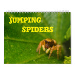Jumping Spiders Calendar at Zazzle