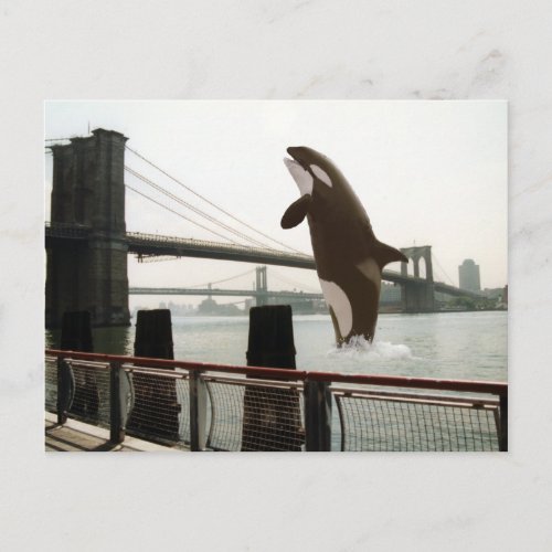 Jumping the Brooklyn Bridge Postcard