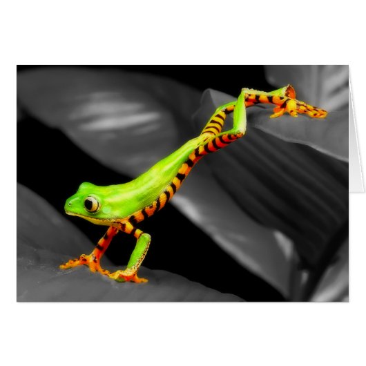 Jumping Tree Frog Cards (Front Horizontal)
