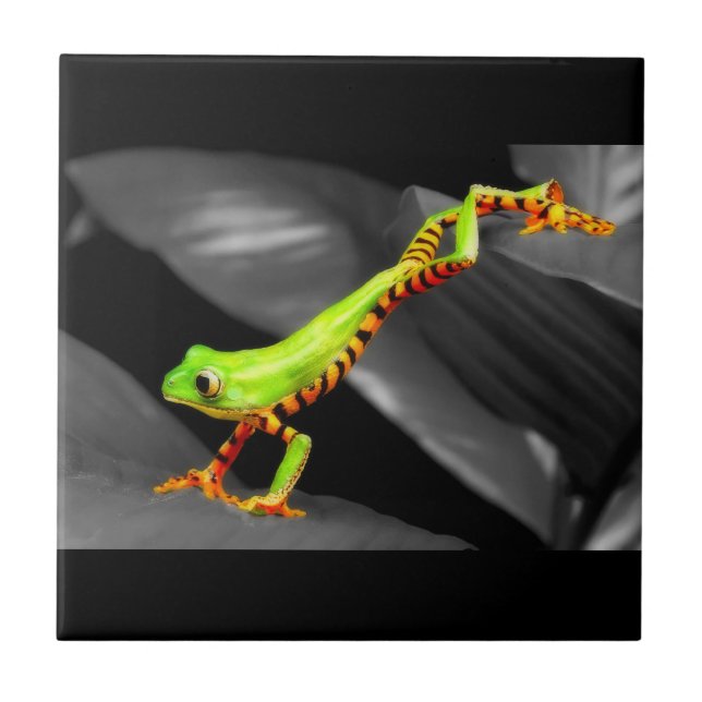 Jumping Tree Frog Ceramic Tile (Front)