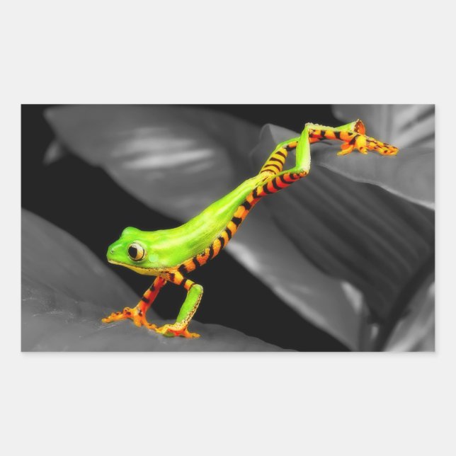 Jumping Tree Frog Rectangular Sticker (Front)
