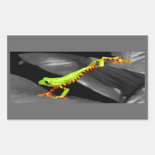 Jumping Tree Frog Rectangular Sticker