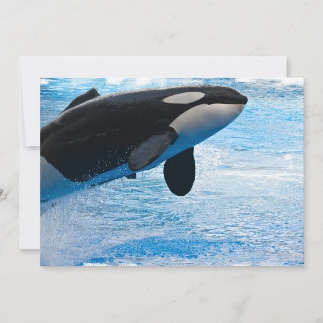 Jumping Whale Invitation (Front)