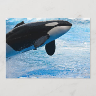 Jumping Whale Invitation