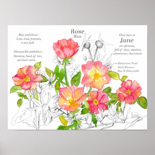 Jun Birthday Wild Roses Honeysuckle Flowers Poster