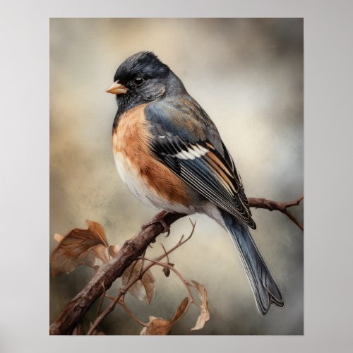 Junco Bird Art Print Poster