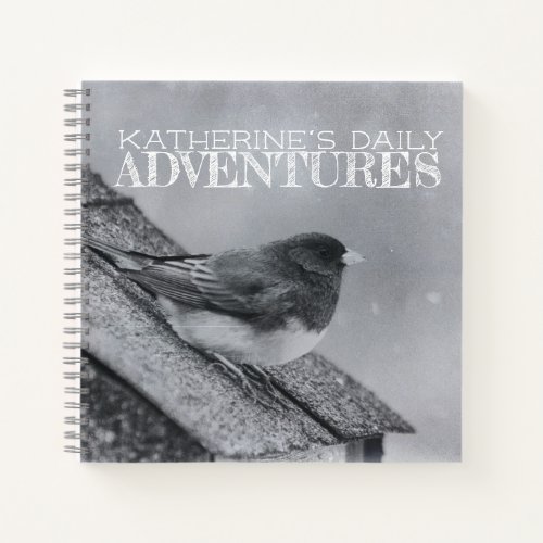 Junco Bird Daily Adventures Notebook