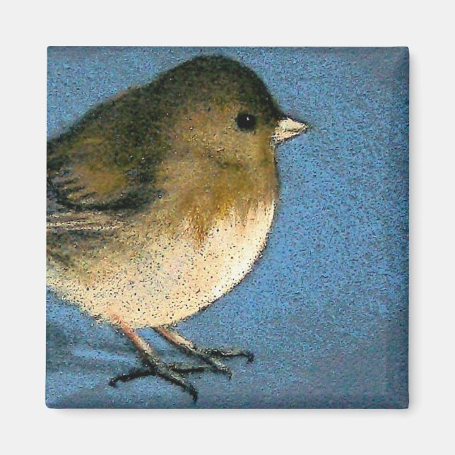 JUNCO BIRD DRAWING MAGNET (Front)