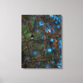 Junco Canvas Print