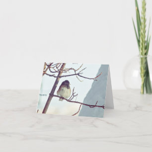 Junco in Montana Winter - 4" x 5.6" Notecard