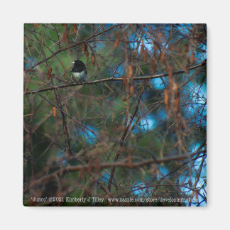 Junco Magnet