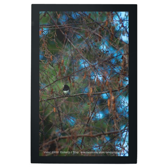 Junco Metal Print (Front)