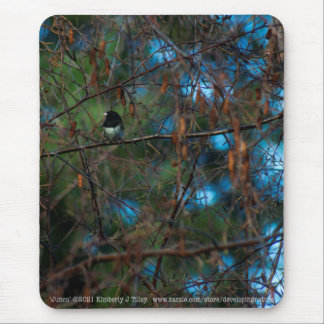 Junco Mouse Pad