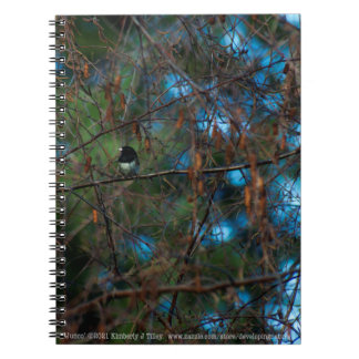 Junco Notebook