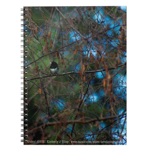 Junco Notebook (Front)