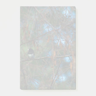 Junco Post-it Notes
