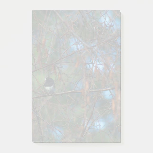 Junco Post-it Notes (Front)