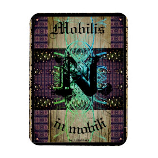Junction No 9: "Mobilis in mobili" Fluidity Magnet