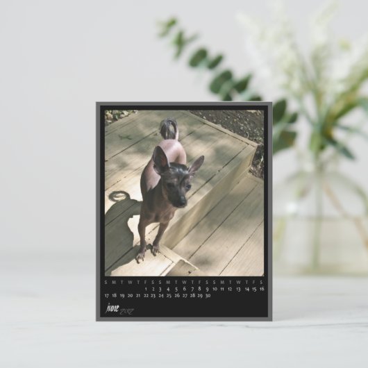 june 2012 calendar (Standing Front)