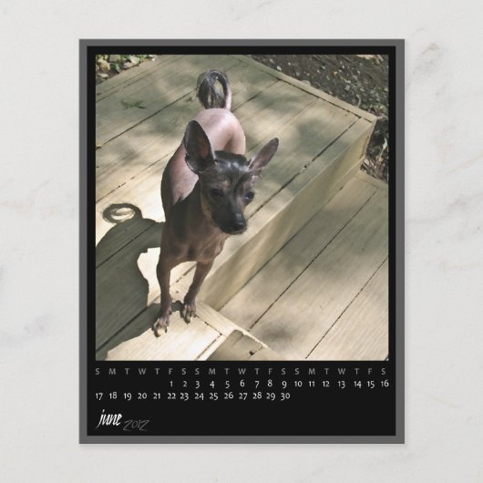 june 2012 calendar (Front)