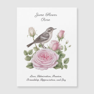 June Birth Month Flower Rose Elegant Birthday