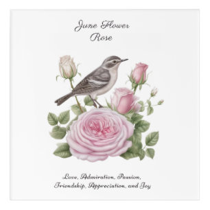 June Birth Month Flower Rose Elegant Birthday Acrylic Print