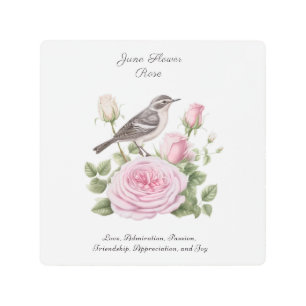 June Birth Month Flower Rose Elegant Birthday Metal Print
