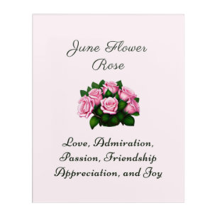 June Birth Month Flower Rose Timeless Floral  Acrylic Print