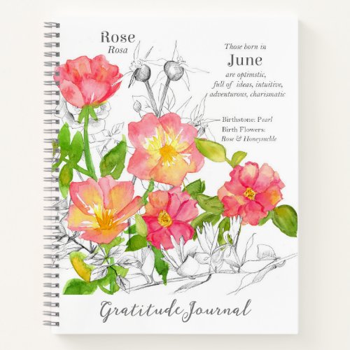 June Birthday Pink Wild Rose Gratitude Journal