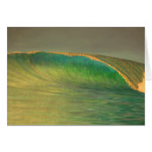 June bug bliss (Front Horizontal)