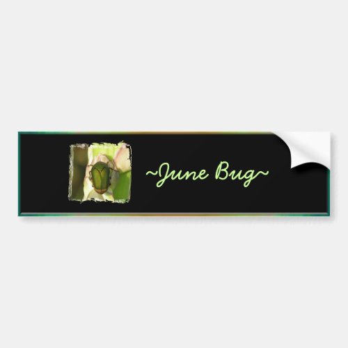 June Bug Bumper Sticker