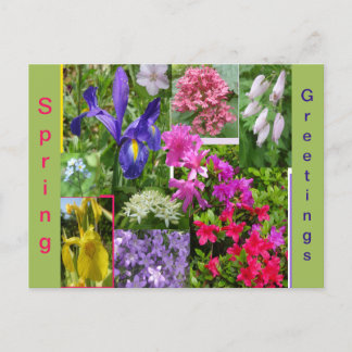 June Flowers Collage Cust. Postcard