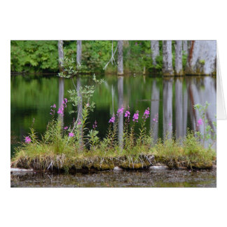 June Lake Cards