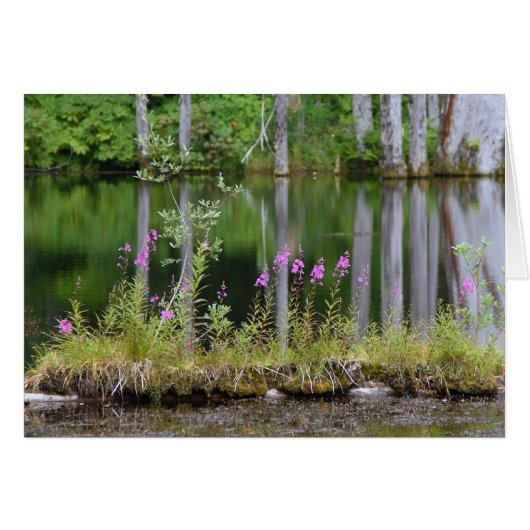 June Lake Cards (Front Horizontal)