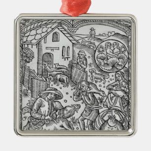 June, sheep shearing, Gemini Metal Ornament