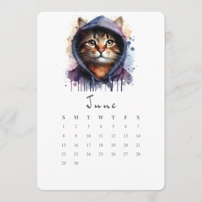 June Stand-Alone Calendar Kitty Cat Splash Art (Front)