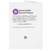 Juneau Icefield Northern Lights (Blank Inside) Cards (Back)