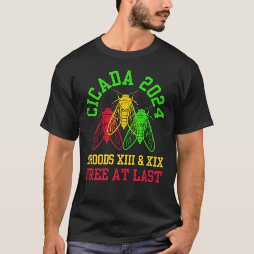 Juneteenth CICADA BROODS Free At Last T_Shirt