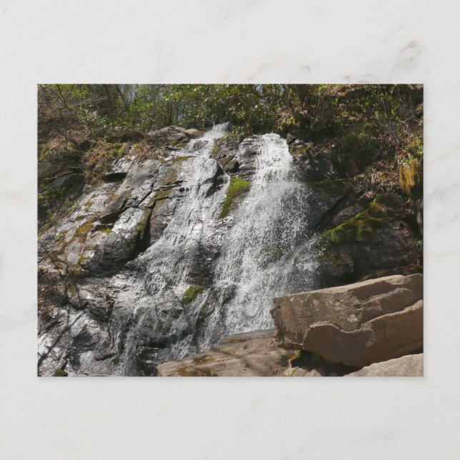 Juney Whank Falls at Smoky Mountains Postcard (Front)