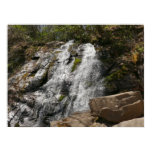 Juney Whank Falls at Smoky Mountains Poster