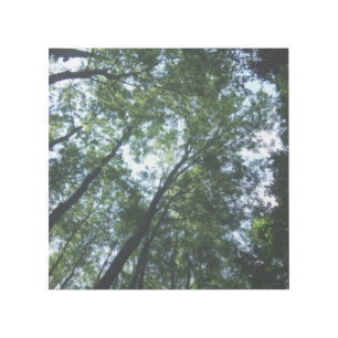Jungle 12" x 12" Gallery Wrap