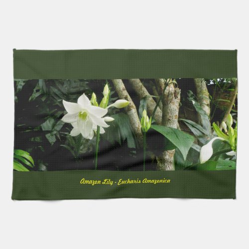 Jungle Amazon Lily _ Eucharis Amazonica Kitchen Towel