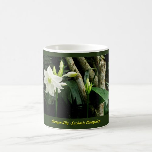 Jungle Amazon Lily _ Eucharis Amazonica Mug