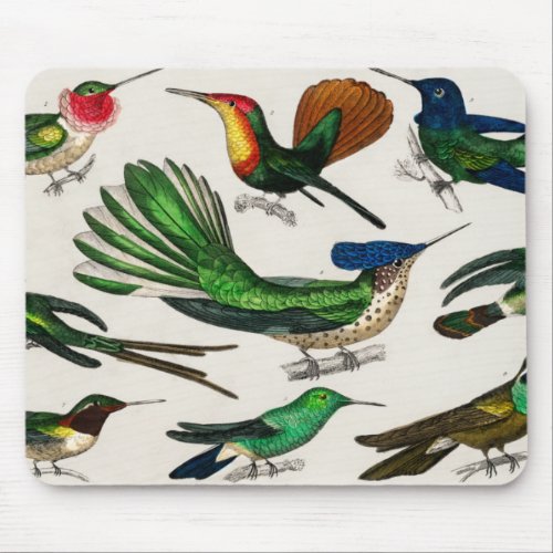 Jungle Birds for Kids Holiday Birthday Gifts Mouse Pad