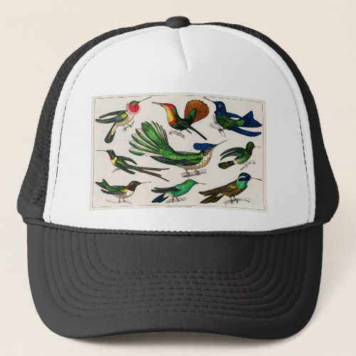 Jungle Birds for Kids Holiday Birthday Gifts Trucker Hat