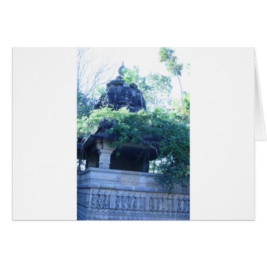 Jungle Building Cards (Front Horizontal)