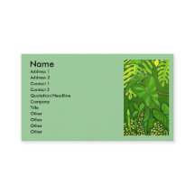 Jungle