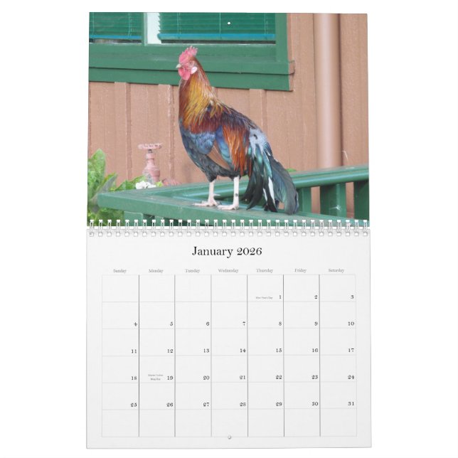 Jungle Chickens of Kauai 2010 Calendar (Jan 2026)